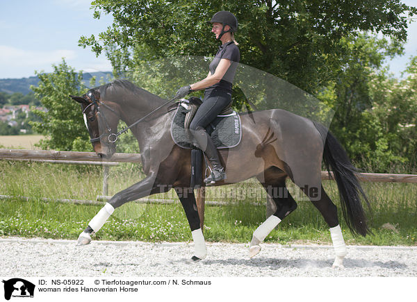 Frau reitet Hannoveraner / woman rides Hanoverian Horse / NS-05922