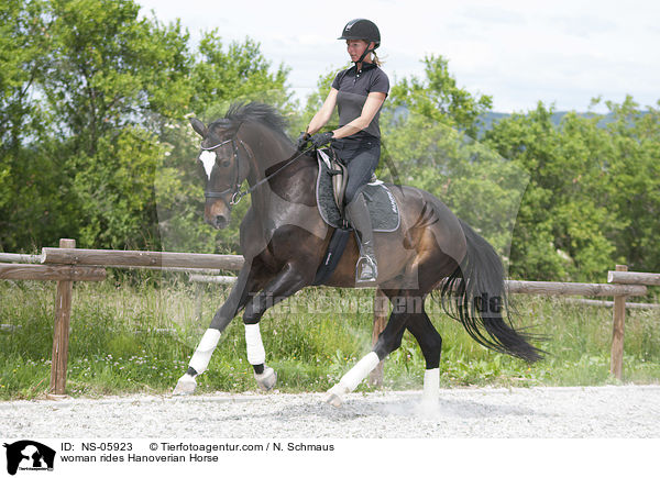 Frau reitet Hannoveraner / woman rides Hanoverian Horse / NS-05923