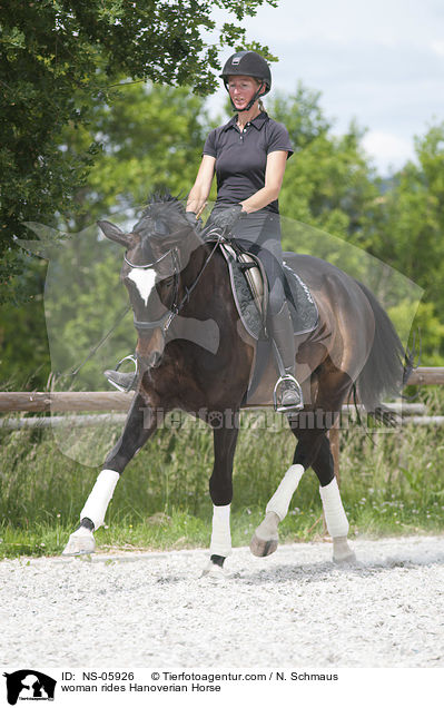 Frau reitet Hannoveraner / woman rides Hanoverian Horse / NS-05926