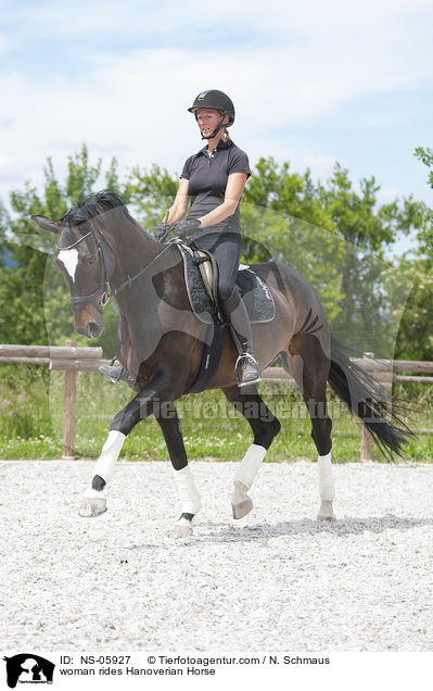 Frau reitet Hannoveraner / woman rides Hanoverian Horse / NS-05927