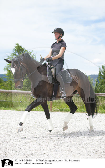 Frau reitet Hannoveraner / woman rides Hanoverian Horse / NS-05928