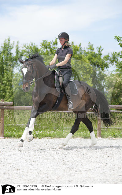 Frau reitet Hannoveraner / woman rides Hanoverian Horse / NS-05929
