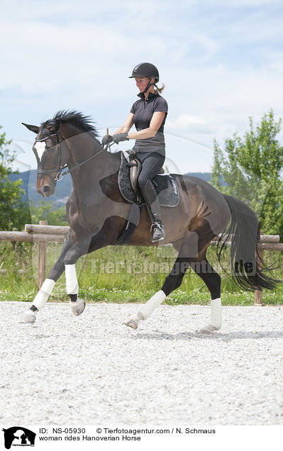 Frau reitet Hannoveraner / woman rides Hanoverian Horse / NS-05930
