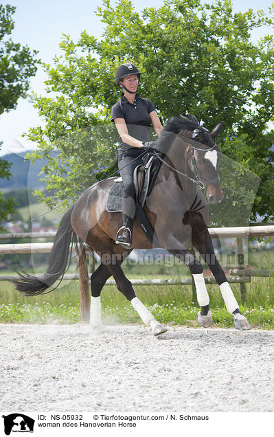 Frau reitet Hannoveraner / woman rides Hanoverian Horse / NS-05932