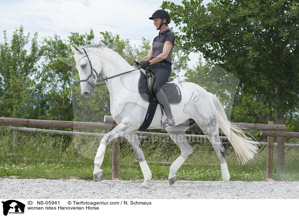 Frau reitet Hannoveraner / woman rides Hanoverian Horse / NS-05941