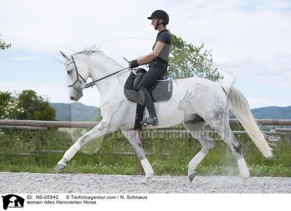 Frau reitet Hannoveraner / woman rides Hanoverian Horse / NS-05942