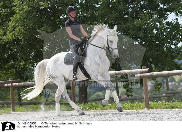 Frau reitet Hannoveraner / woman rides Hanoverian Horse / NS-05953