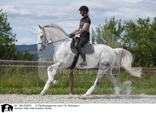 Frau reitet Hannoveraner / woman rides Hanoverian Horse / NS-05955