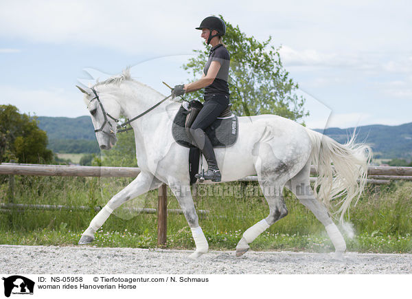 Frau reitet Hannoveraner / woman rides Hanoverian Horse / NS-05958