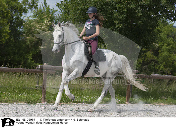 junge Frau reitet Hannoveraner / young woman rides Hanoverian Horse / NS-05967