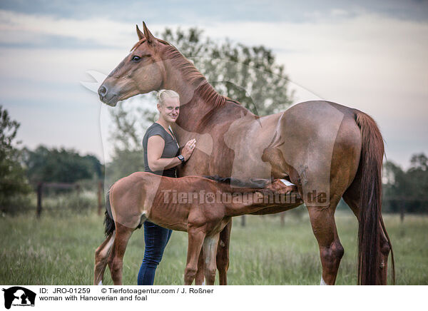 Frau und Hannoveraner mit Fohlen / woman with Hanoverian and foal / JRO-01259