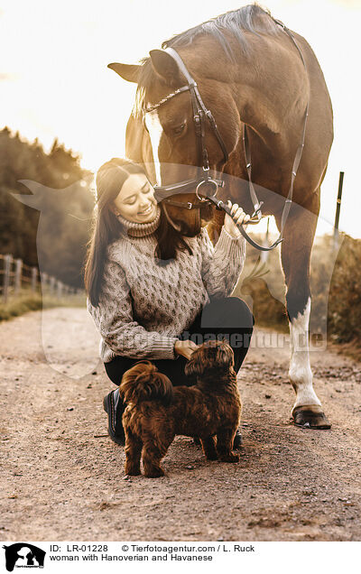 Frau mit Hannoveraner und Havaneser / woman with Hanoverian and Havanese / LR-01228