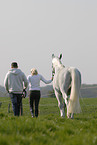 woman with horse