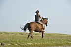 woman rides Hanoverian