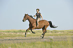 woman rides Hanoverian