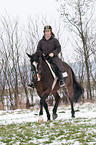 woman rides Hanoverian horse