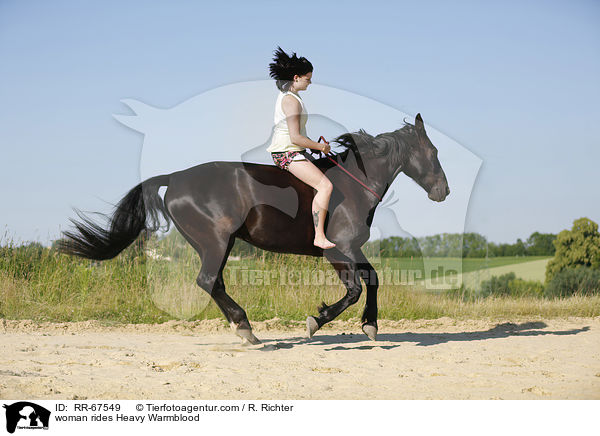 Frau reitet Schweres Warmblut / woman rides Heavy Warmblood / RR-67549