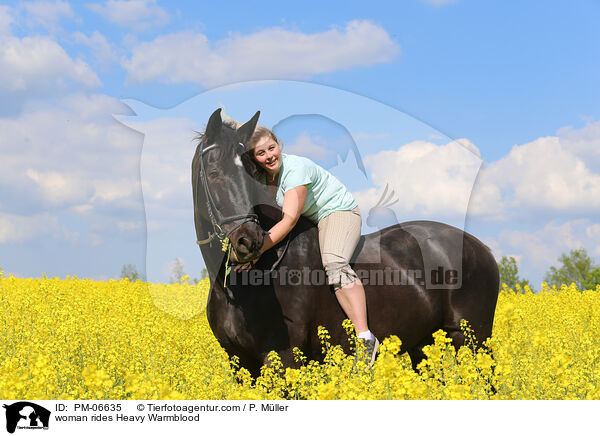 Frau reitet Schweres Warmblut / woman rides Heavy Warmblood / PM-06635