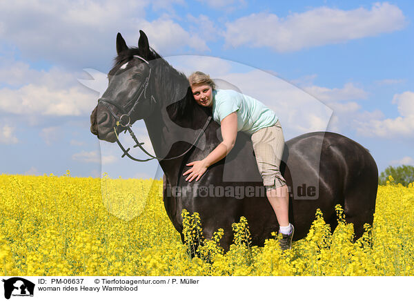 Frau reitet Schweres Warmblut / woman rides Heavy Warmblood / PM-06637