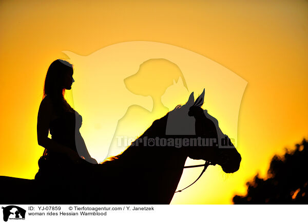 Frau reitet Hessisches Warmblut / woman rides Hessian Warmblood / YJ-07859