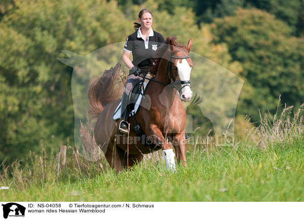 Frau reitet Hessisches Warmblut / woman rides Hessian Warmblood / NS-04058