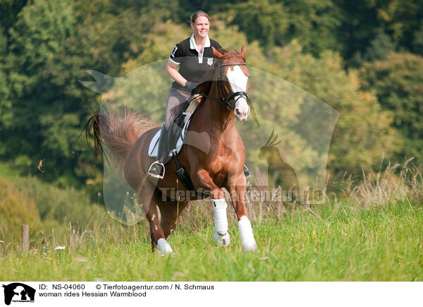 woman rides Hessian Warmblood / NS-04060