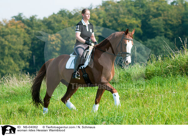 Frau reitet Hessisches Warmblut / woman rides Hessian Warmblood / NS-04062