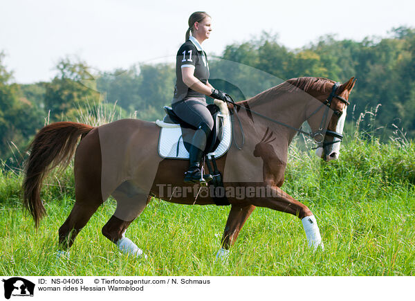 woman rides Hessian Warmblood / NS-04063