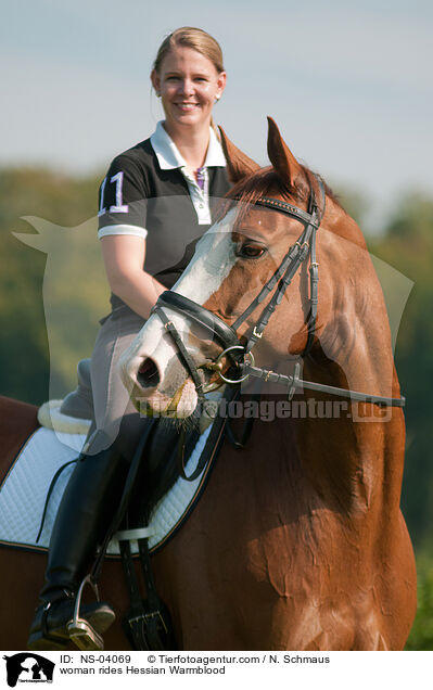 Frau reitet Hessisches Warmblut / woman rides Hessian Warmblood / NS-04069