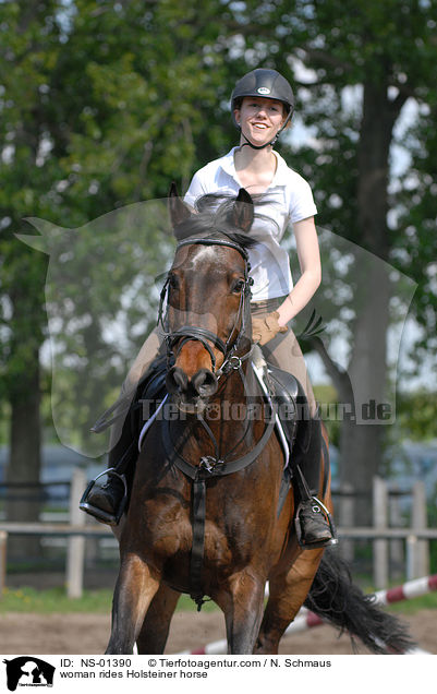 Holsteiner unter dem Reiter / woman rides Holsteiner horse / NS-01390