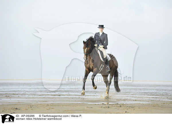 Frau reitet Holsteiner / woman rides Holsteiner warmblood / AP-09286