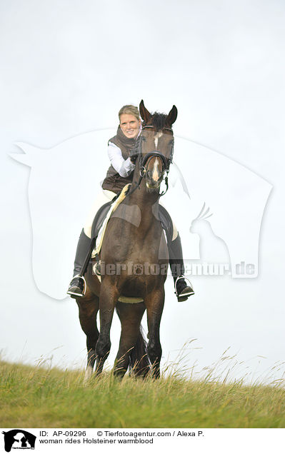 Frau reitet Holsteiner / woman rides Holsteiner warmblood / AP-09296