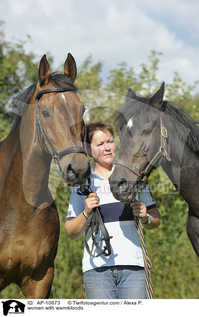 Frau mit Holsteinern / woman with warmbloods / AP-10673