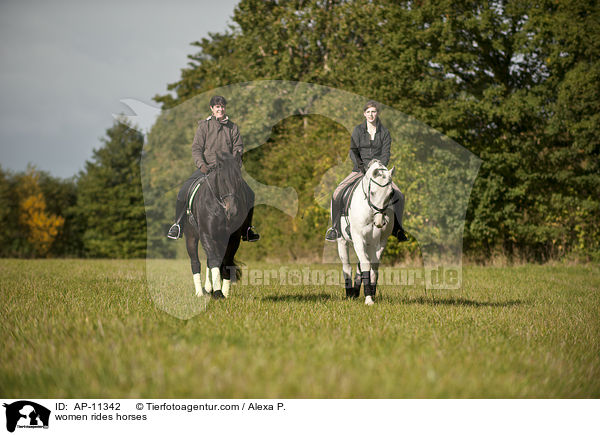 Frauen reiten Pferde / women rides horses / AP-11342