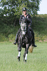 woman rides Holsteiner horse