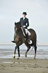 woman rides Holsteiner warmblood