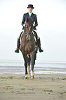 woman rides Holsteiner warmblood