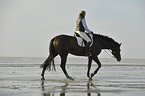 woman rides Holsteiner warmblood