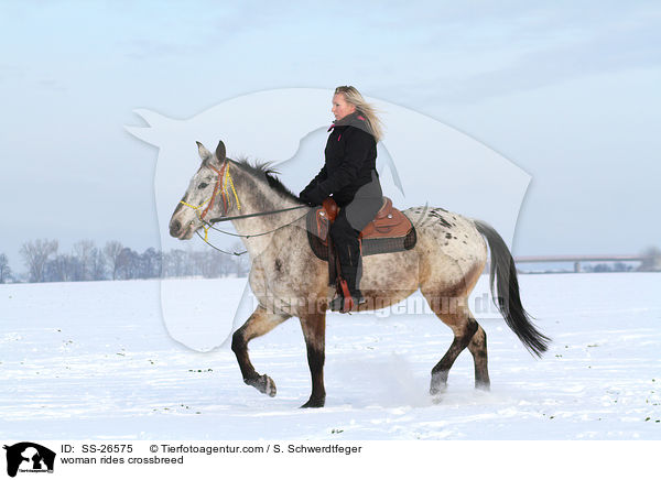 Frau reitet Appaloosa-Mix / woman rides crossbreed / SS-26575