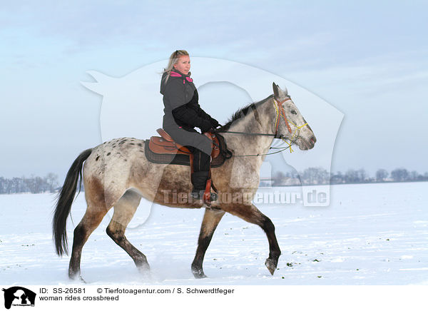 Frau reitet Appaloosa-Mix / woman rides crossbreed / SS-26581