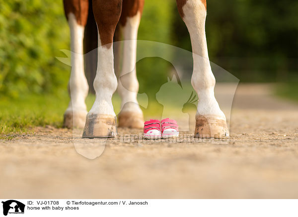 Pferd mit Babyschuhen / horse with baby shoes / VJ-01708