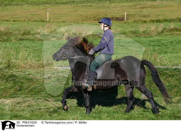 Reiterin auf Islnder / horsewoman / PM-01629