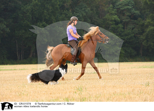 Frau reitet Islnder / woman rides Icelandic horse / CR-01578