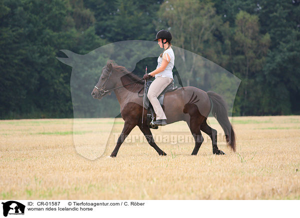 Frau reitet Islnder / woman rides Icelandic horse / CR-01587