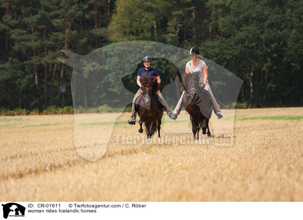 Frauen reiten Islnder / woman rides Icelandic horses / CR-01611