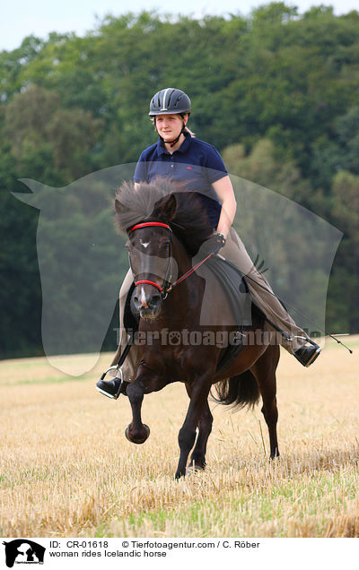 Frau reitet Islnder / woman rides Icelandic horse / CR-01618