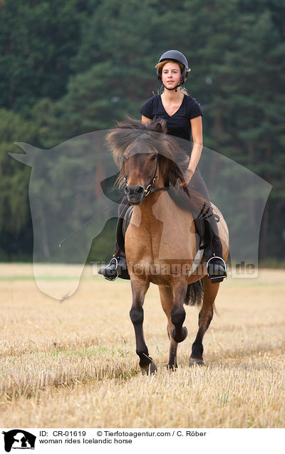 Frau reitet Islnder / woman rides Icelandic horse / CR-01619