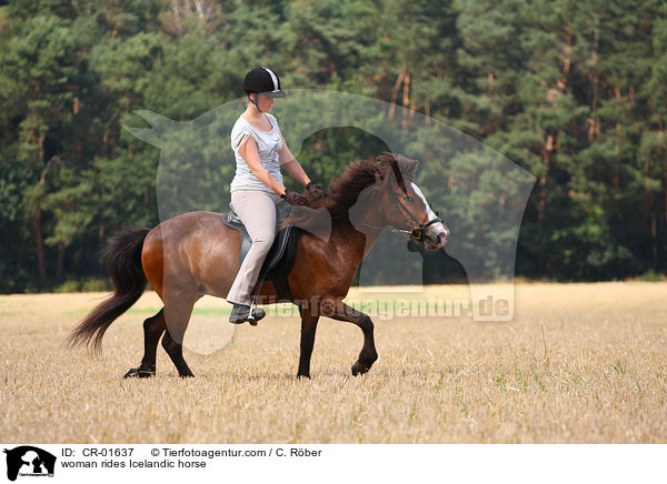 Frau reitet Islnder / woman rides Icelandic horse / CR-01637