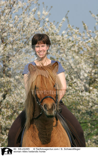 Frau reitet Islnder / woman rides Icelandic horse / SS-22265