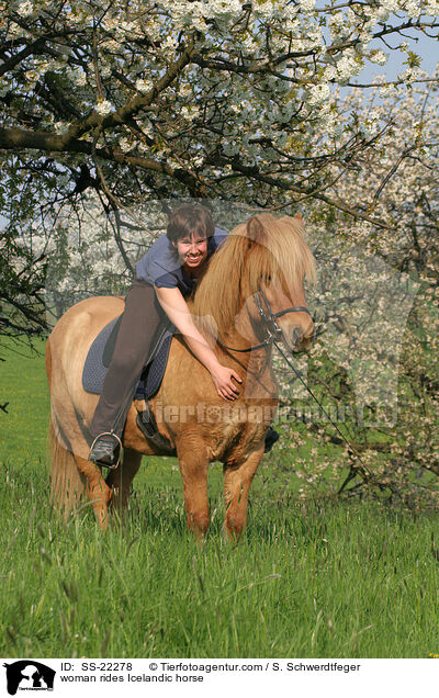 woman rides Icelandic horse / SS-22278